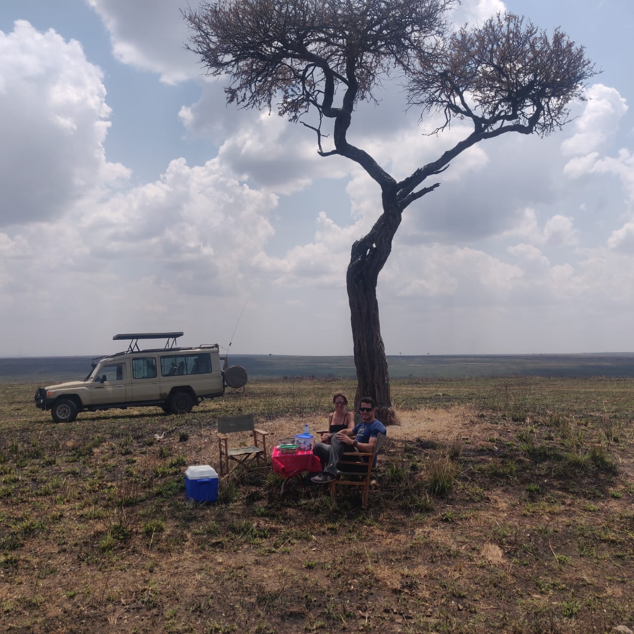 Safari Car Hire 4X4 Landcruiser (Open Roof) - Image 2