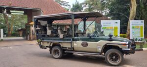 OPen safari jeep